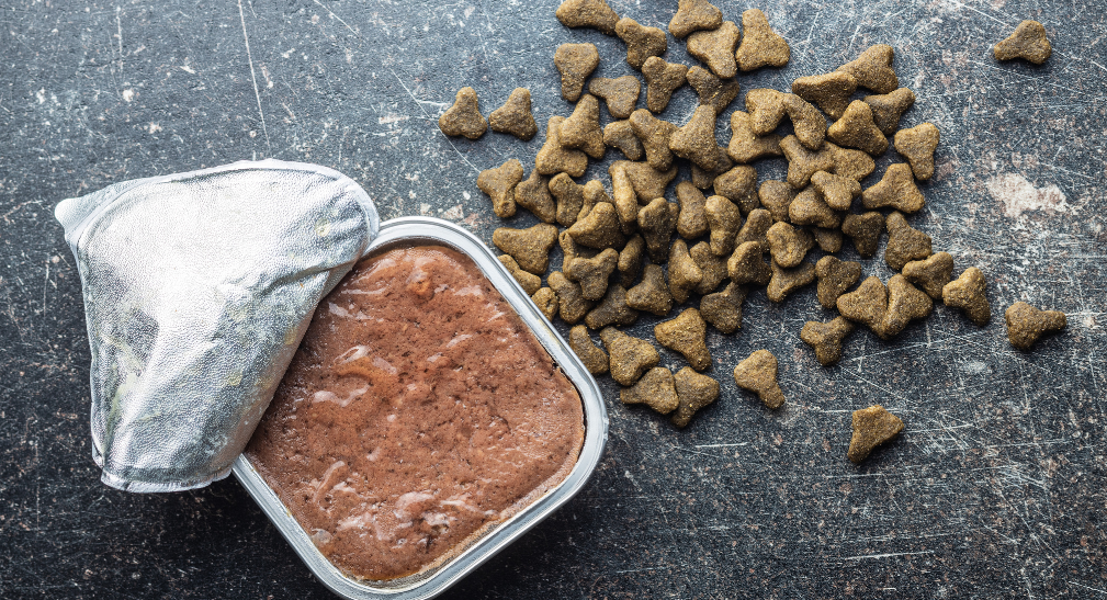 Futterwechsel richtig machen: So stellst du deinen Hund sauber um