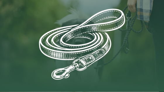 Nylon- & Neoprenleinen