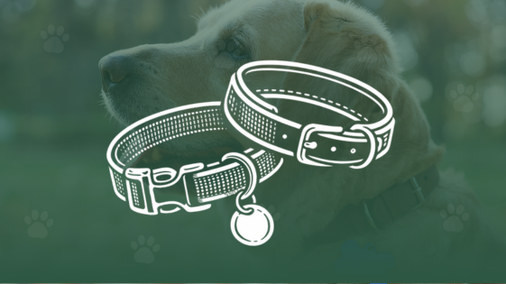 Nylon- & Neoprenhalsbänder