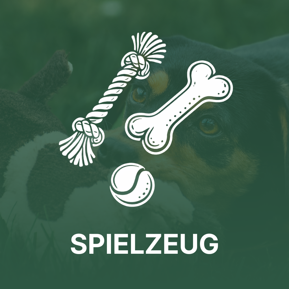 Hundespielzeug