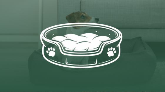 Hundebetten & Kissen