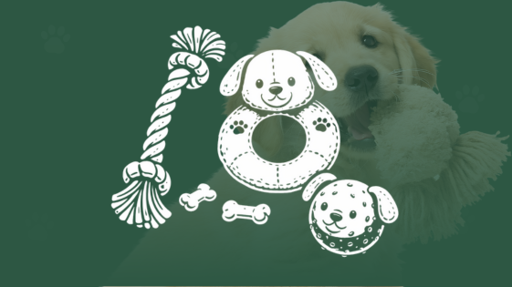 Welpenspielzeug