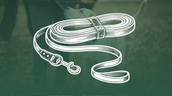 Such- & Schleppleinen