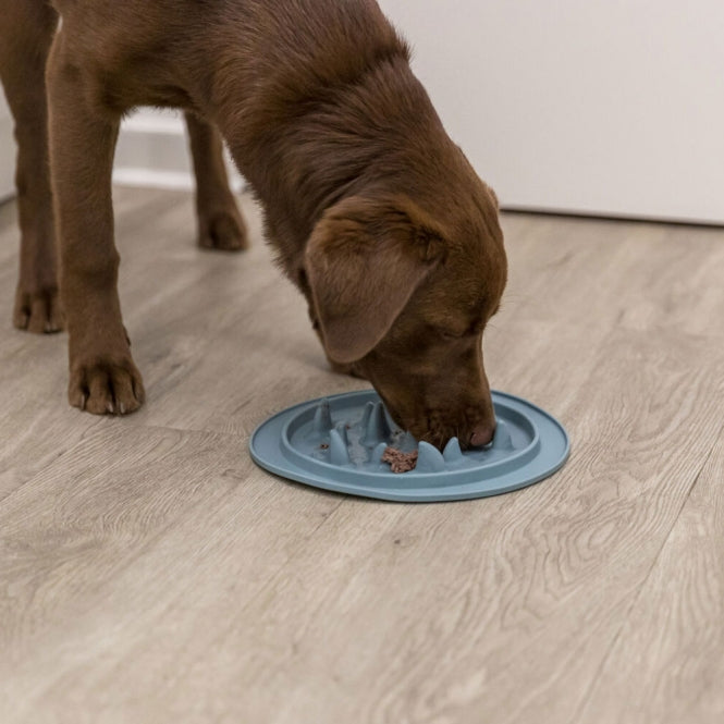 Trixie Slow Feeding Futtermatte No. 2