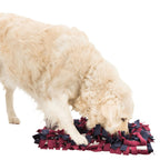 Trixie Schnüffelteppich Strategie-Spiel