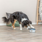 Trixie Dog Activity Buzzer