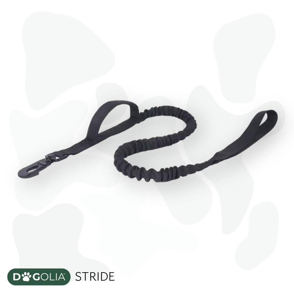 DOGOLIA: STRIDE – Taktische Outdoor-Leine