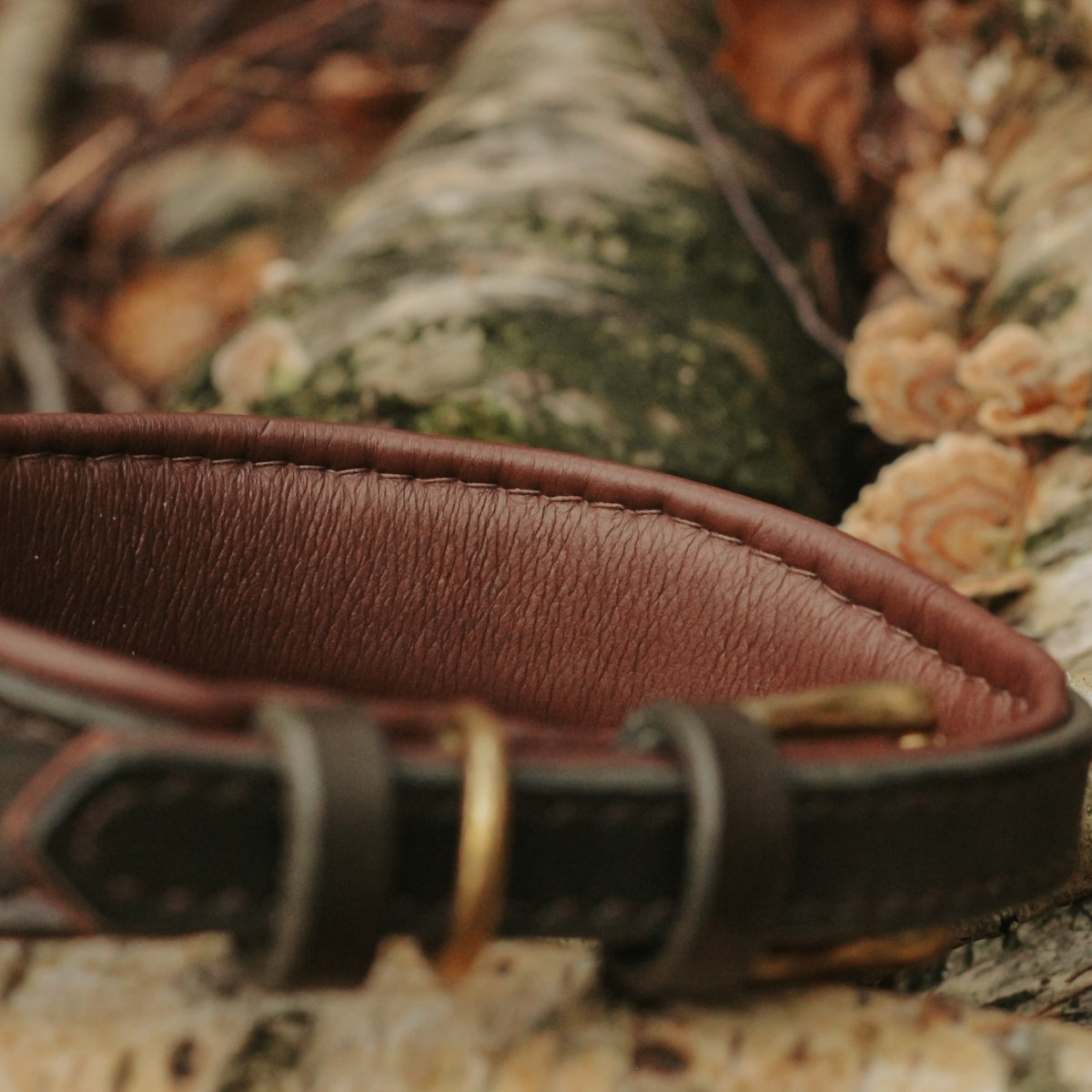 Alma & Flemming - Heritage Collection Hundehalsband