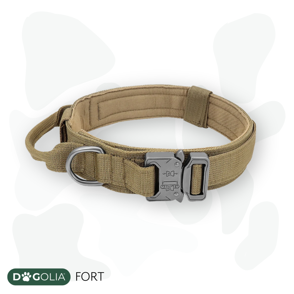 DOGOLIA: FORT - Taktisches Outdoor-Hundehalsband