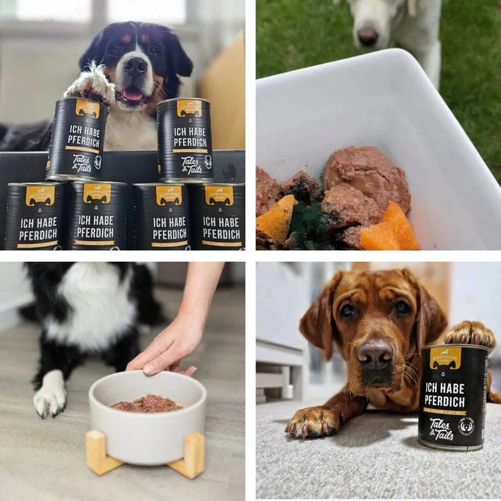 Tales & Tails - PFERDich  - Nassfutter mit Pferd