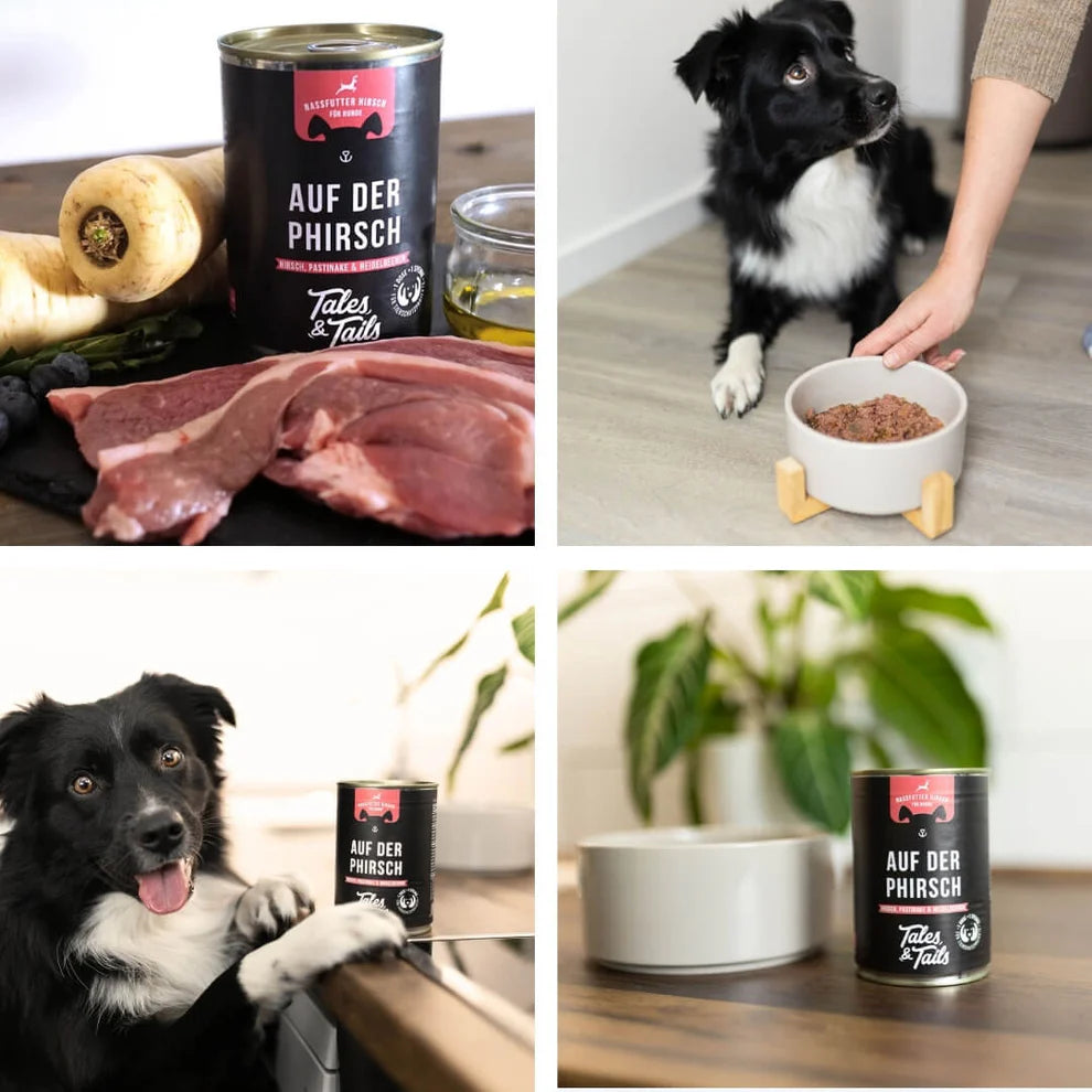 Tales & Tails - Auf der PHirsch - Nassfutter mit Hirsch