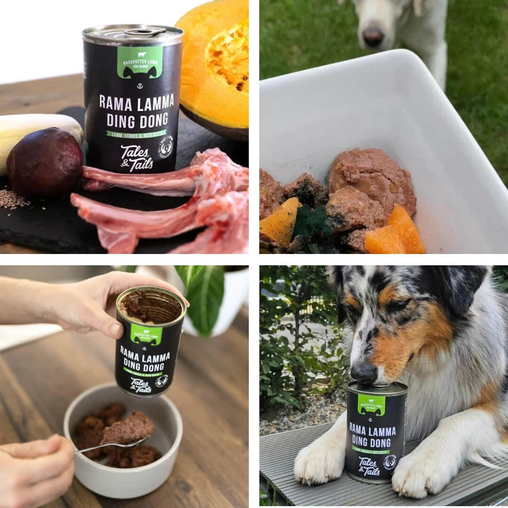 Tales & Tails - Rama Lamma Ding Dong - Nassfutter mit Lamm