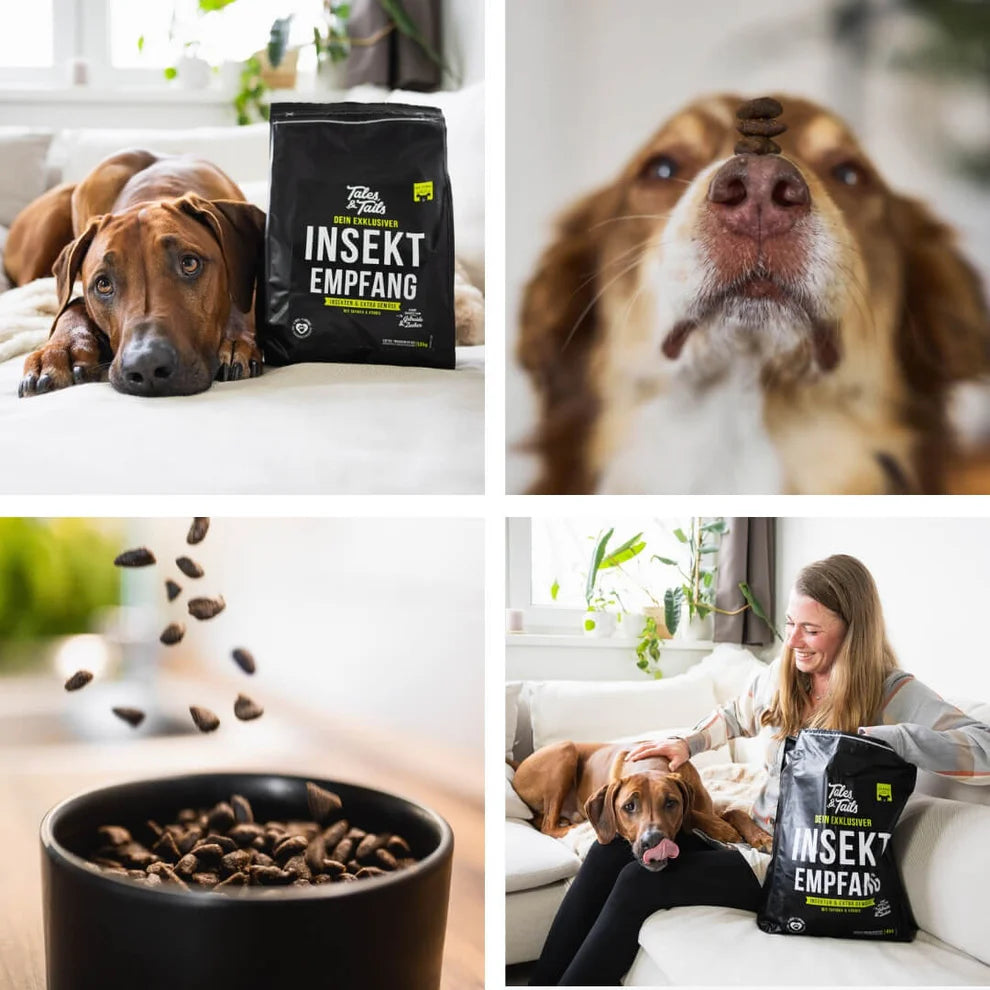 Tales & Tails - INSEKTempfang - Softes Trockenfutter - mit Insekten