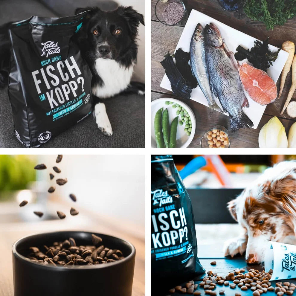 Tales & Tails - Fisch im Kopp - Softes Trockenfutter - mit Fisch