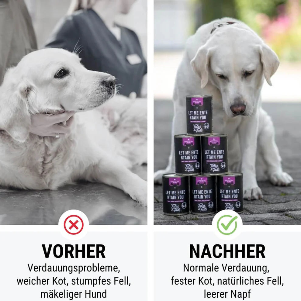 Tales & Tails - Let me ENTErtain you - Nassfutter mit Ente