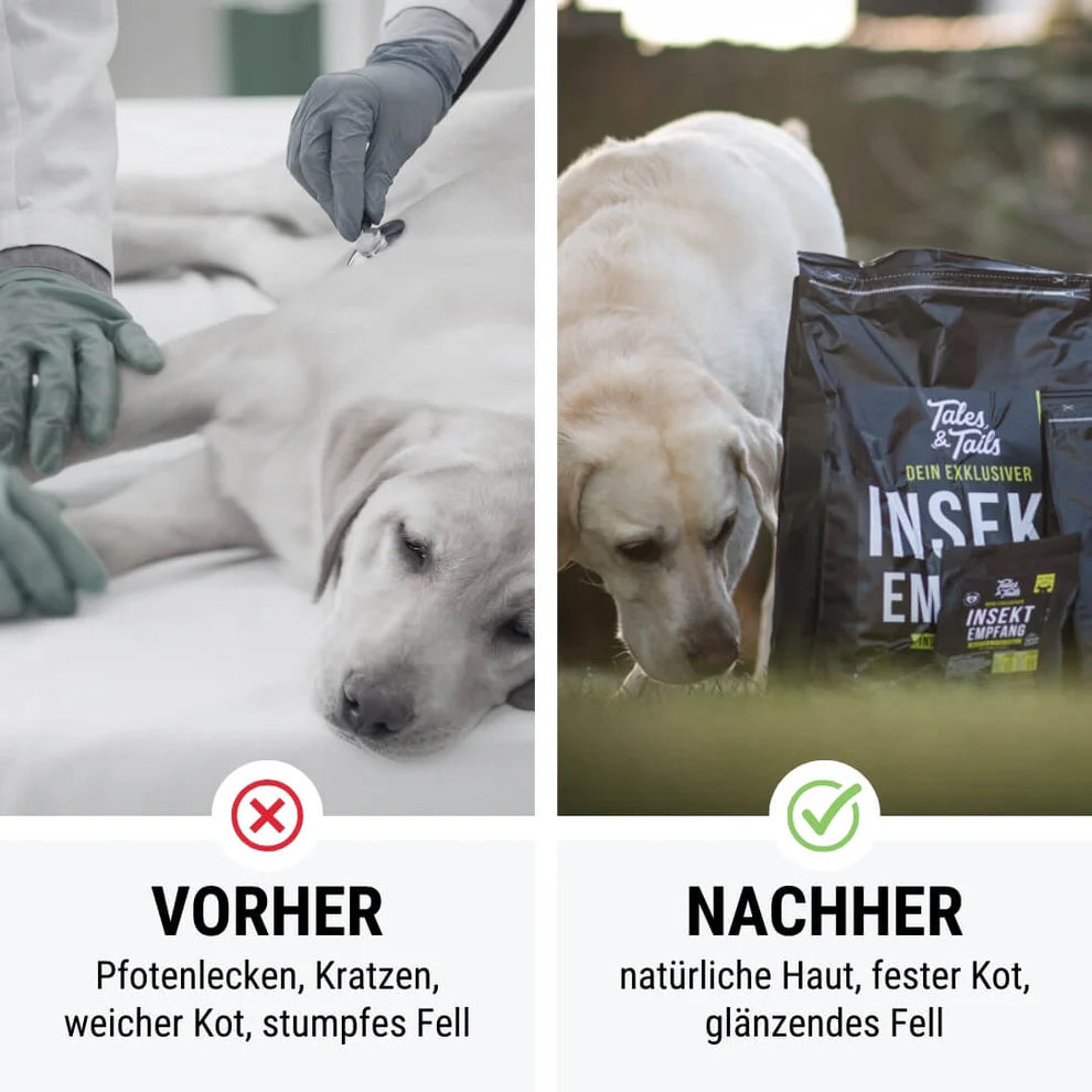 Tales & Tails - INSEKTempfang - Softes Trockenfutter - mit Insekten