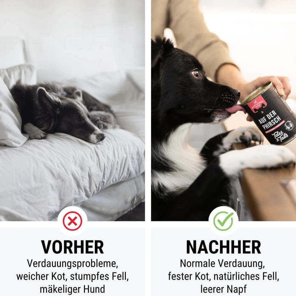 Tales & Tails - Auf der PHirsch - Nassfutter mit Hirsch