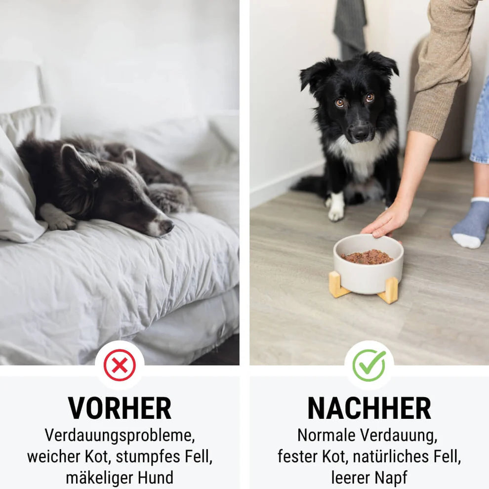 Tales & Tails - Rama Lamma Ding Dong - Nassfutter mit Lamm